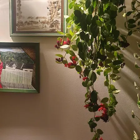Apartmán Anastasia's Boutique *