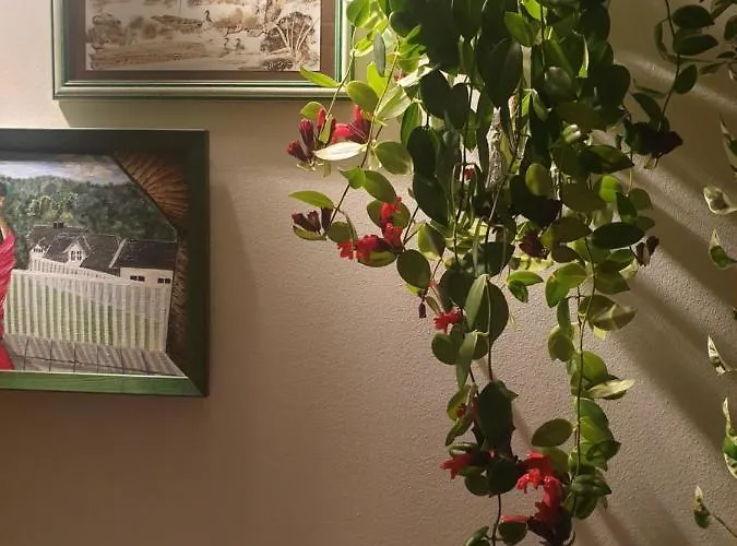 شقة Anastasia's Boutique *